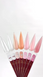 STEFFANI Builder Gel №07, 30 ml 73770 фото 4