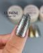 LUKUM Platinum Gel Paint 02, 5 ml 65833 фото 2