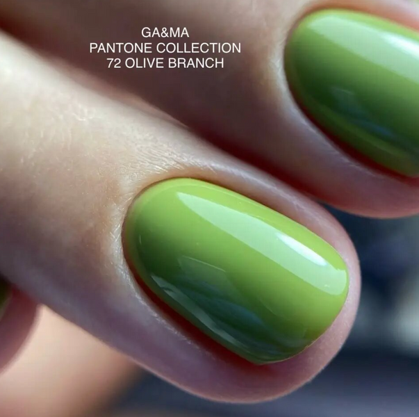 GA&MA Pantone Collection Olive Branch 072 | Пантон колекція 071 Олів бранч 10 мл 72124 фото