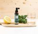 EMMEBI Регенеруючий лосьйон, контроль втрати волосся Natural Solution Hair Loss Remedy Lotion 100 ml 71576 фото 3