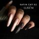 LUKUM Gel Polish Satin Cat 02 10 ml 73077 фото 2