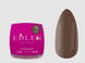 EDLEN Builder gel Lviv №79 15 ml 117621 фото 1