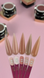 STEFFANI Sachet Builder Gel №39 15 мл 112843 фото 4