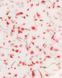 CROOZ Flora Touch Gel №09, 15 мл 108324 фото 3