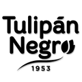 Tulipan Negro