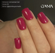 GA&MA Basic collection 013 fuksiya / Базова колекція 013 фуксія 10 мл 18784 фото 2