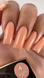 STEFFANI Builder Gel №04, 15 ml 102945 фото 2